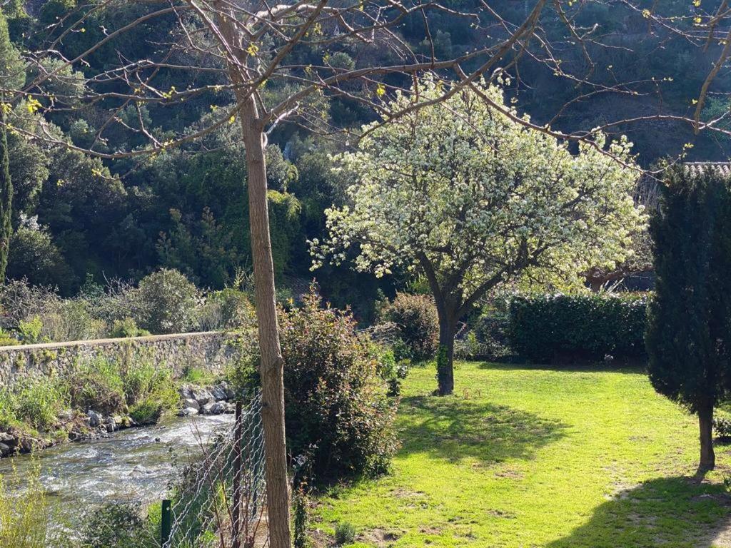 Château Cabaret: Luxury Cathar Retreat with Panoramic Terrace Lastours Exterior photo